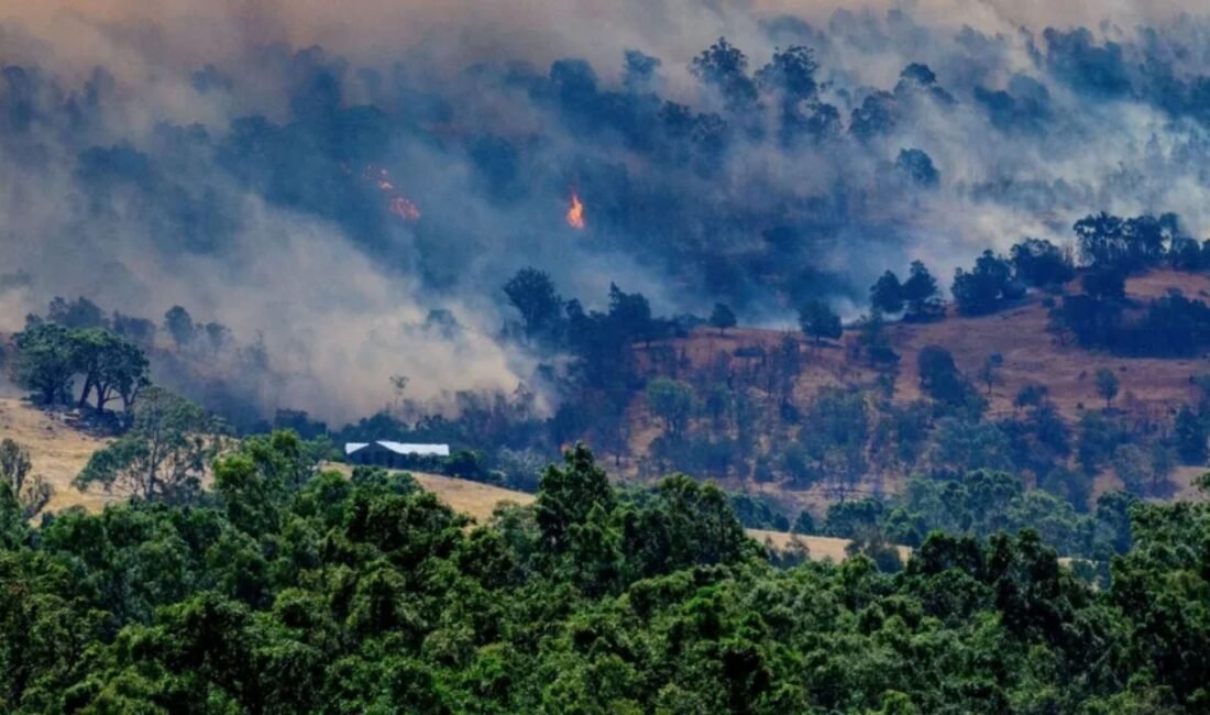 11 Ocak 2026 Avustralya orman yangını haberi. Victoria'da Gobur, Harcourt