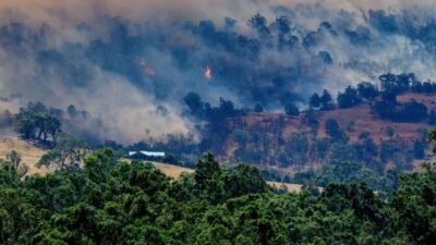 11 Ocak 2026 Avustralya orman yangını haberi. Victoria'da Gobur, Harcourt
