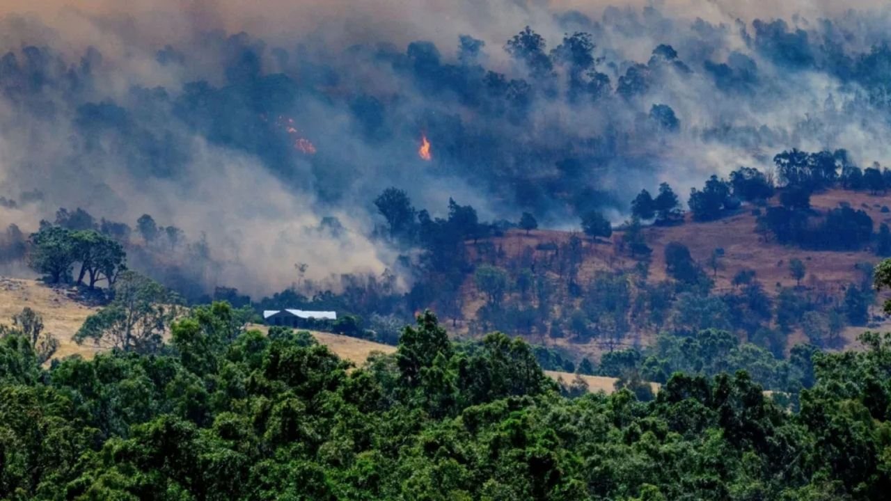 11 Ocak 2026 Avustralya orman yangını haberi. Victoria'da Gobur, Harcourt